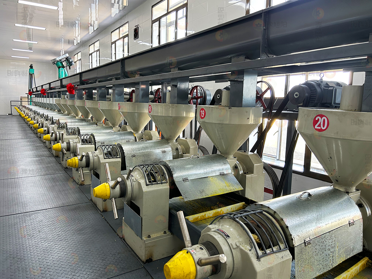 黑龙江双鸭山市宝清县福龙宝笨榨大豆油加工有限公司10000KG大豆油精炼项目1 黑龙江双鸭山市宝清县福龙宝笨榨大豆油加工有限公司10000KG大豆油精炼项目1
